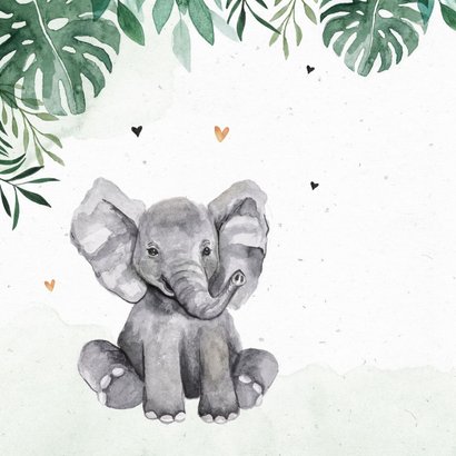 Geboortekaartje dieren jungle giraf olifant tijger waterverf 2