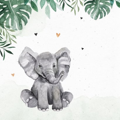 Geboortekaartje dieren jungle giraf olifant tijger waterverf 2