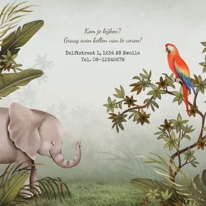 Geboortekaartje dieren jungle olifant papegaai  2