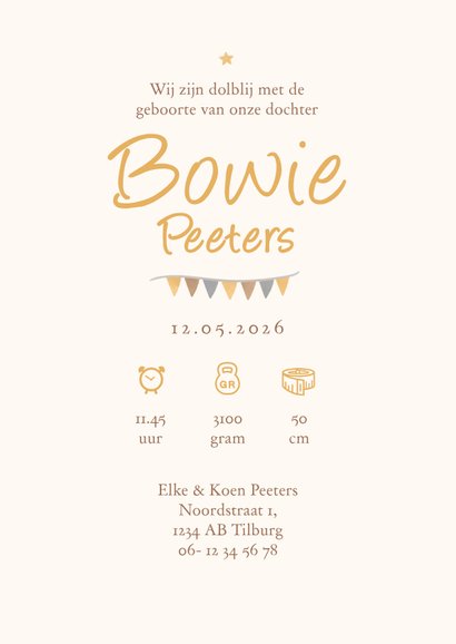 Geboortekaartje dieren luchtballon vintage wolkjes sterren 3