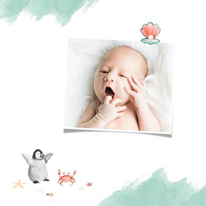 Geboortekaartje dieren walrus pinguïn krab schelp waterverf 2