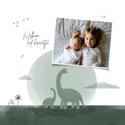 Geboortekaartje dinosaurus broertje maan hartjes zilver 2