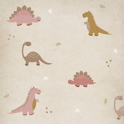 Geboortekaartje dinosaurus roze Achterkant
