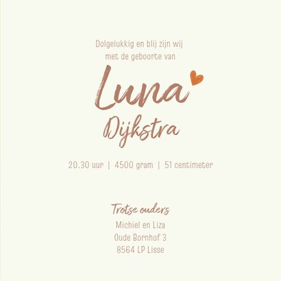 Geboortekaartje dochter papieren bootje leeuw en olifant 3