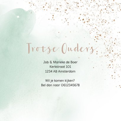 Geboortekaartje drieling meerling neutraal poes met kittens 3