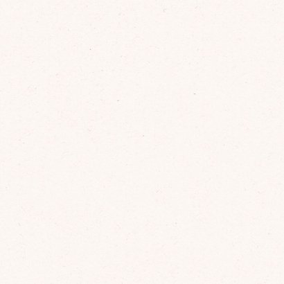 Geboortekaartje droogbloemen Achterkant