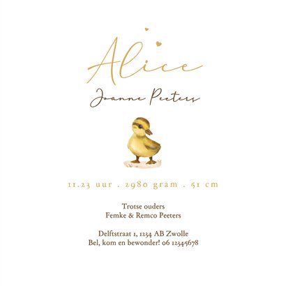 Geboortekaartje eenden papa mama kindje hartjes goud 3