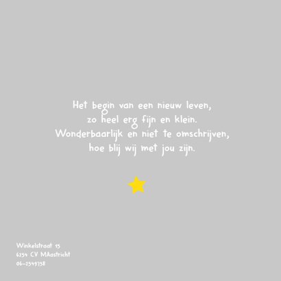 Geboortekaartje eenhoorn 2