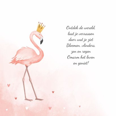 Geboortekaartje flamingo hartjes meisje verf kroontje 2