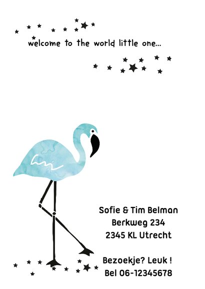 Geboortekaartje Flamingo Levi 2