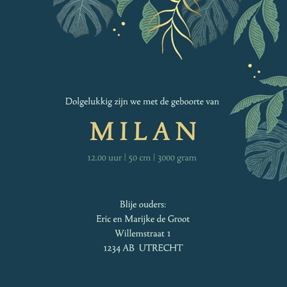 Geboortekaartje giraf familie 3