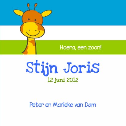 Geboortekaartje giraf jongen 3
