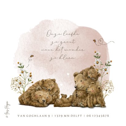 Geboortekaartje groot gezin vijfde kindje met beren 2