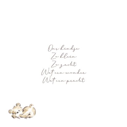 Geboortekaartje grote zus met baby 2