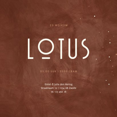 Geboortekaartje hand met voetjes lijntekening met foliedruk 3