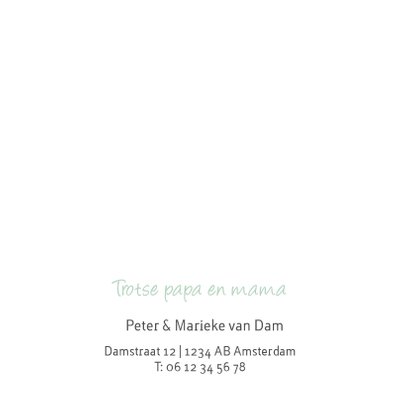 Geboortekaartje hartjes groen 2
