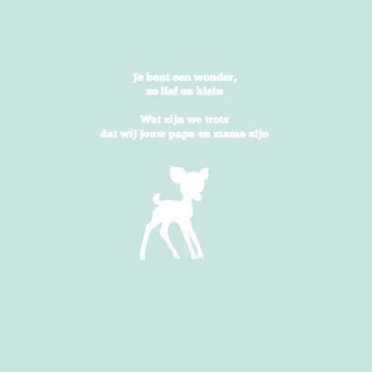 Geboortekaartje hertje mint 2