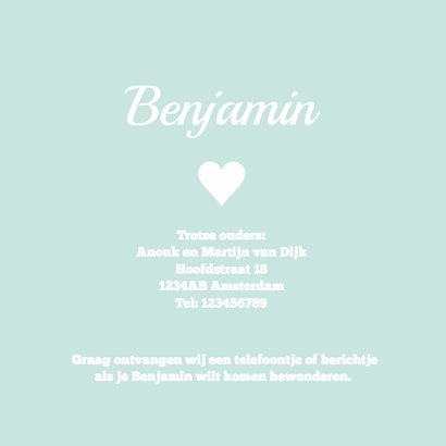 Geboortekaartje hertje mint 3