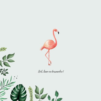 Geboortekaartje hip met flamingo's en bladeren 2