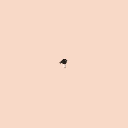 Geboortekaartje hip roze illustratie raamvisite baby Achterkant