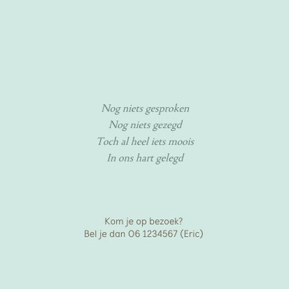 Geboortekaartje houten bakfietsje met broertjes 2
