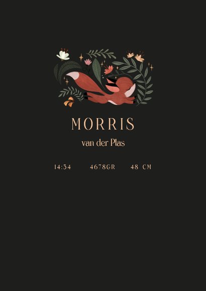 Geboortekaartje illustratie rennend vosjes bloemen takjes 2