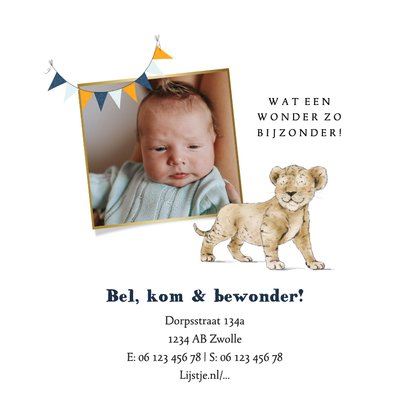 Geboortekaartje illustratie welpje vlaggenslinger hartjes 2