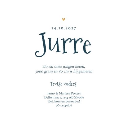 Geboortekaartje jongen dino plesiosaurus hartjes foto 3