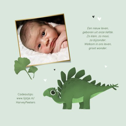 Geboortekaartje jongen dino stegosaurus jungle hartjes 2