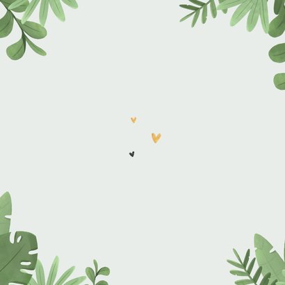 Geboortekaartje jongen giraf illustratie jungle hartjes Achterkant