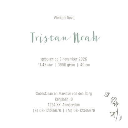 Geboortekaartje jongen hertje met vllinder 3