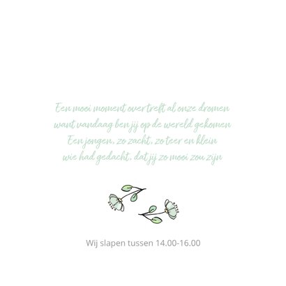 Geboortekaartje jongen in hangmat 2