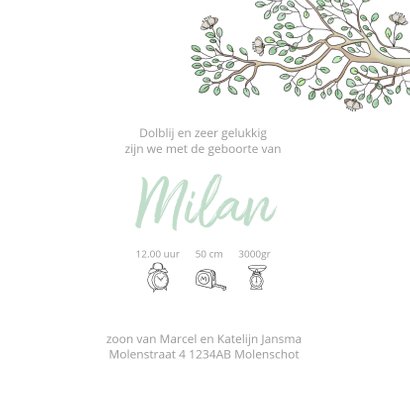 Geboortekaartje jongen in hangmat 3