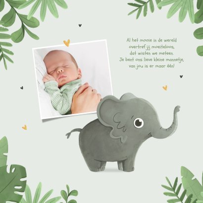 Geboortekaartje jongen jungle dier olifant hartjes 2