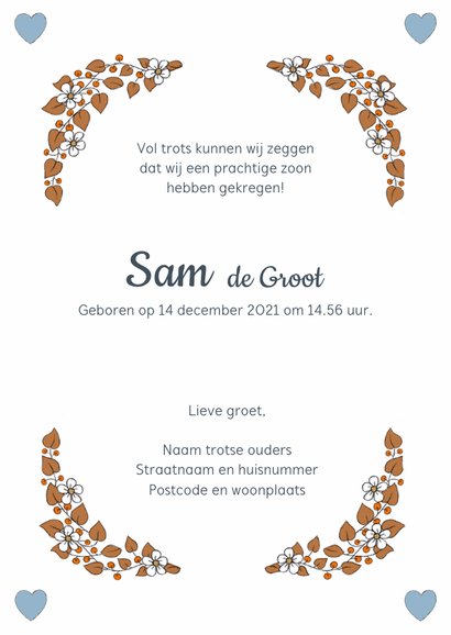 Geboortekaartje jongen met lief vosje en vogeltjes 3