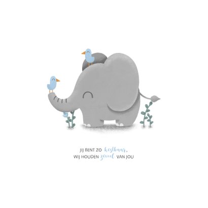 Geboortekaartje jongen met lieve olifant en vogeltjes 2
