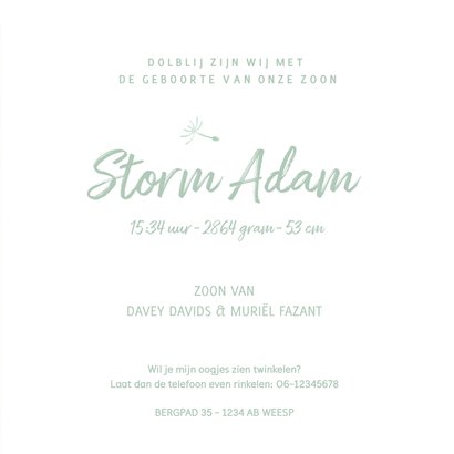 Geboortekaartje jongen met paardenbloem waterverf silhouet 3