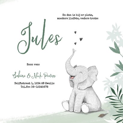 Geboortekaartje jongen olifant dieren groen jungle 3