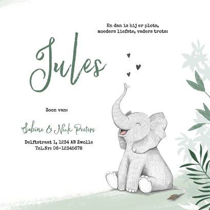 Geboortekaartje jongen olifant dieren groen jungle 3
