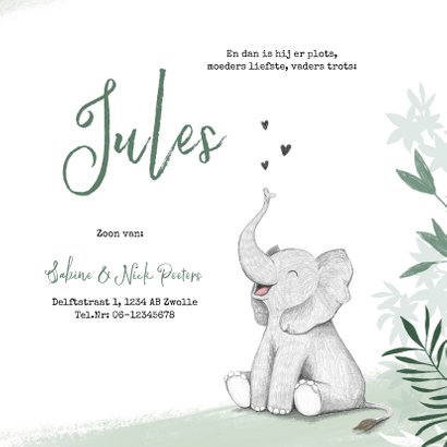 Geboortekaartje jongen olifant dieren groen jungle 3