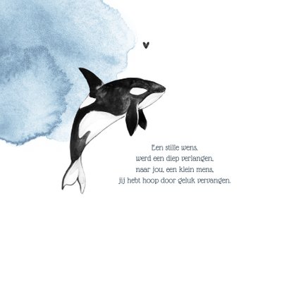 Geboortekaartje jongen orca waterverf hartjes 2