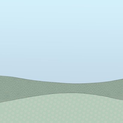 Geboortekaartje jongens in auto aanhangwagen Achterkant