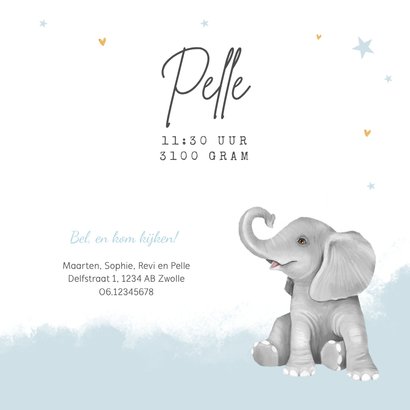 Geboortekaartje jongens tweeling sterren goud waterverf 3