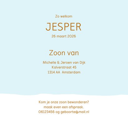 Geboortekaartje jongetje konijntje 3