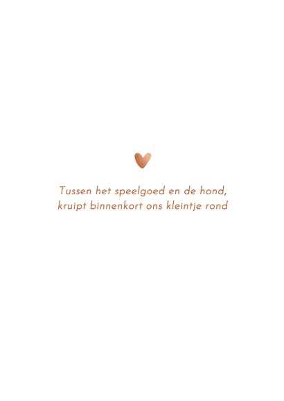 Geboortekaartje jongetje met hond koper 2