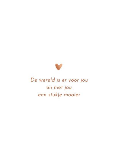 Geboortekaartje jongetje met kat koper 2