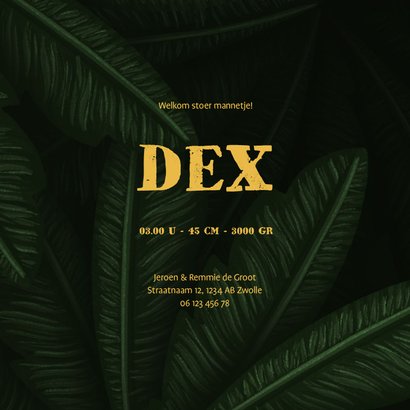 Geboortekaartje jungle bladeren met panter silhouet goud 3