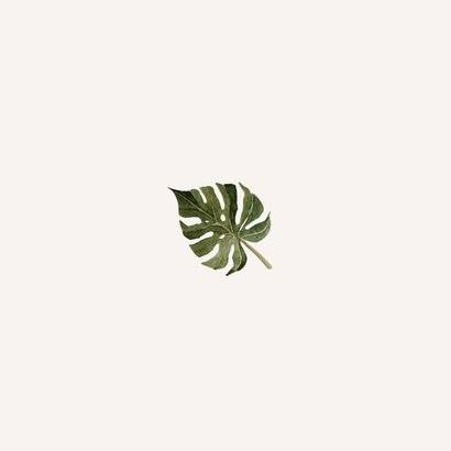 Geboortekaartje jungle dieren schattig waterverf illustratie Achterkant