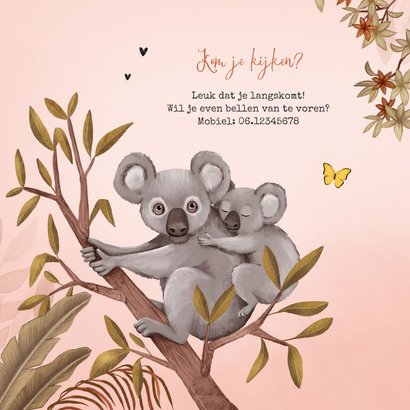 Geboortekaartje jungle meisje koala beer vlinders 2