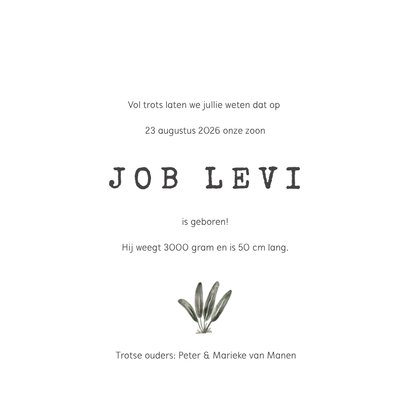 Geboortekaartje jungle met apen en klein aapje 3